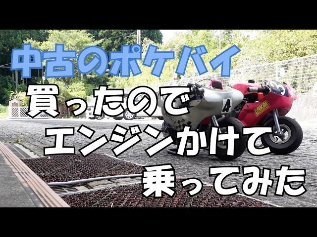 中古のポケバイを買ったのでエンジンかけて乗ってみた#291【水曜日