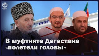 В муфтияте Дагестана «полетели головы» [Eng sub] #gbhnews