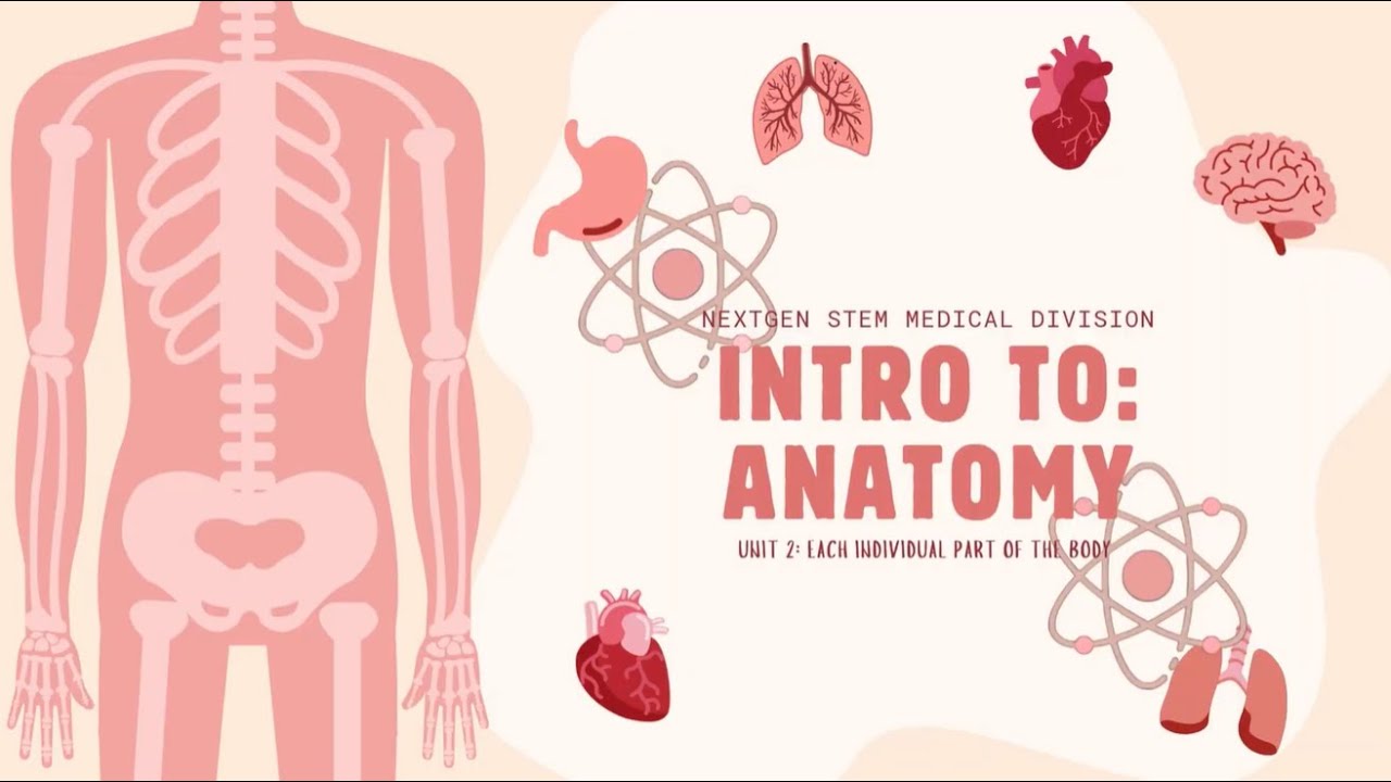 Anatomy Unit 1: Structure and Organization of the Human Body - YouTube