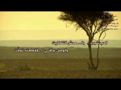 شيلة يا صاحبي كلمات سلطان العريبي آداء صوت آل مهدي مذكر المهداني 