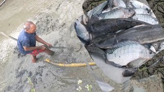 Catching Freshwater Fish | Village Life| Buhay sa Bukid by Avril's Channel 256 views 1 year ago 6 minutes, 56 seconds