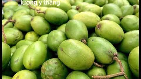 Công dụng thần kỳ trong quả cóc có thể bạn chưa biết