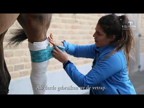 HOE PLAATS JE EEN GOED sprongverband? bij je PAARD ? Aydio, titre Deltitnu final