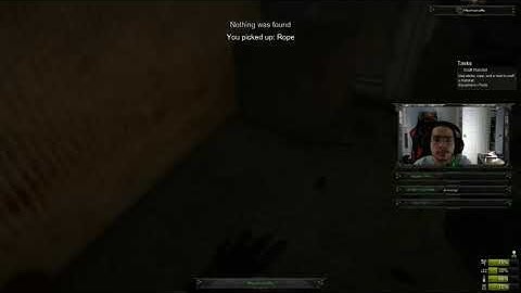 MisCreated Fun: DAM BUGS