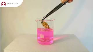 Gold Purity Density Tester Ttd-1200K Torontech