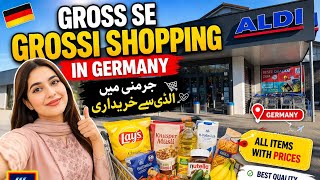 Grocery shopping in Germany 🇩🇪| Aldi Budgets Haul (All prices 🖨Shown!)