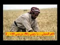 فاهم الجميلي يا حبيبي زفتك من يمي فاتت 2 فاهم الجميلي يا حبيبي زفتك من يمي فاتت 2