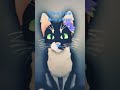 Lazy film i was bored lol wcue wcueedit 3years longtime warriorcats warriors cat imdumb