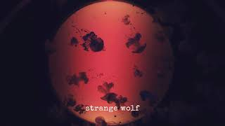 "Strange Wolf" | Club beat [G# min]