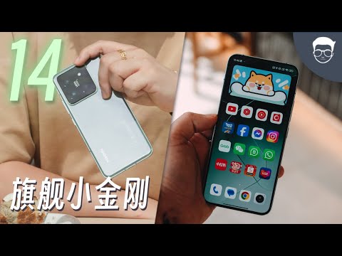 Xiaomi 14 评测: 为什么它依旧稳坐2024小旗舰MVP 👑？【LexTech 第278期】