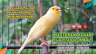 Kenari Gacor Ngerek Masteran Kenari Paud Dan Pancingan Kenari Macet Bunyi Dan Betina Ngiwir - 148