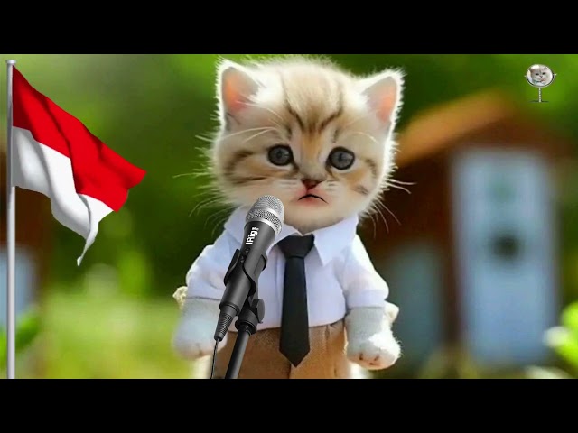 KUCING NYANYI LAGU KEBANGSAAN 17 AGUSTUS TAHUN 45 class=