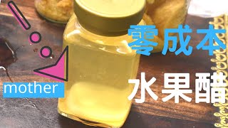 水果醋 酵素DIY (零成本、零失敗，有mother) 