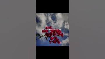 Thumbnail of SAHIBA ✨ || Sahiba song lyrics #song #trending #sahiba || aesthetic songs