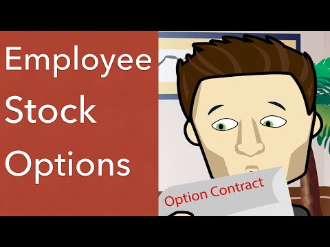 Guide Des Options D’Achat D’Actions Des Employés