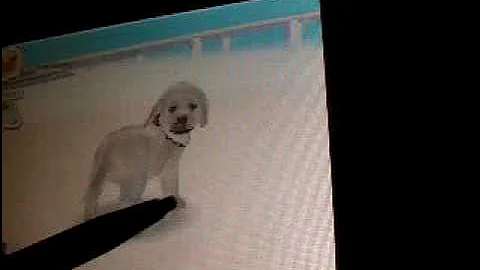 Nintendogs Help and Advice: Advance/Combo Tricks: Get Up Part 2!