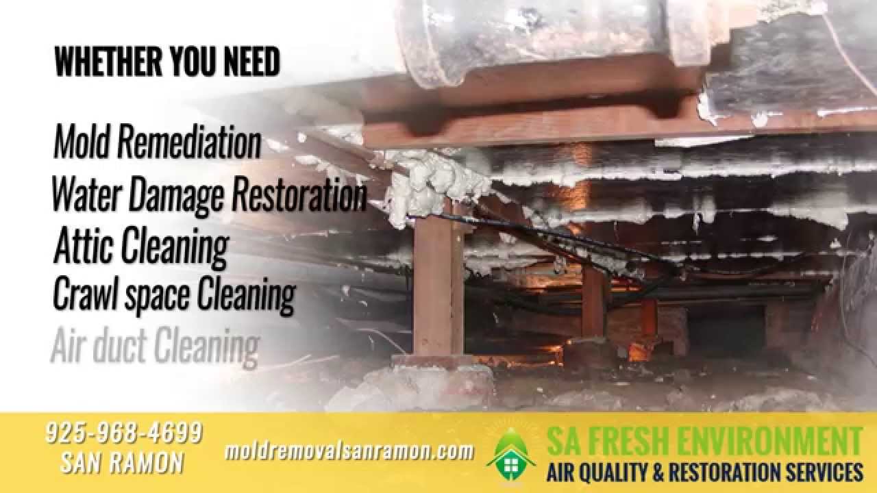 SA Fresh Environment | Mold Removal San Ramon 925-968-4699