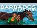 BARBADOS TRAVEL VLOG | Last minute trip to paradise!