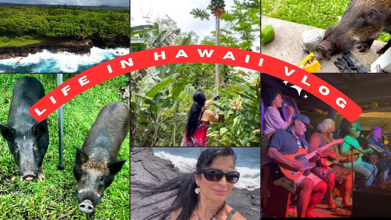 Living in Pahoa Hawai’i, Picking Papayas, Uncle Roberts, Feeding Pigs