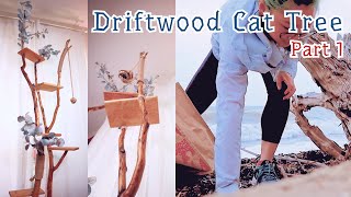 Making Driftwood Cat Tree for Kitten // Part 1- Discover & Prepare // Instructional ASMR Music Video by Ellie and Kola 1,307 views 3 years ago 2 minutes, 57 seconds
