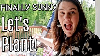 Planting Petunias &  Potatoes | Spend the Sunny Day W/ Our Family