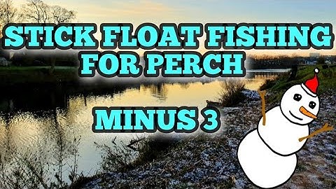 STICK FLOAT FISHING FOR BIG PERCH IN COLD CONDITIONS