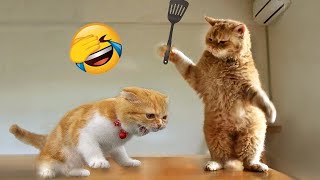 You Laugh You Lose 😹 Funniest Cats and Dogs 2025😂 Part 1 Profile
