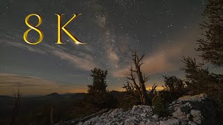 Timelapse Adventure into the Ancient Bristlecone Pine forest ( 8K)
