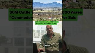 🏡$6M Cattle Station, 51K Acres For Sale | #realestateaustralia #southaustralia #farming #livestock