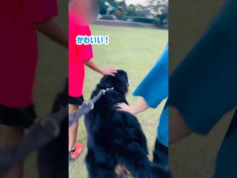 小学生が大喜び！バーニーズとの久しぶりの再会♪