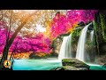 🔴 Study Music 24/7, Focus, Meditation, Concentration Music, Relaxing Music, Calm Music, Yoga, Study