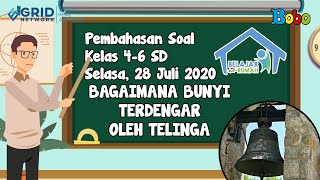 Pembahasan soal tvri sd kelas 4-6 - selasa 28 juli 2020 bagaimana
bunyi terdengar oleh telinga #belajardarirumah program belajar dari
rumah di hari in...