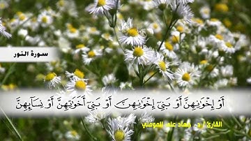 سورة النور من ( ايه 21 ) الى ( ايه 34 )  بصوت القارئ د.جهاد المومني