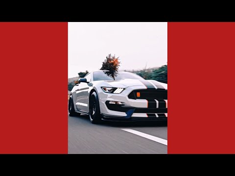 SHELBY GT500, GT350