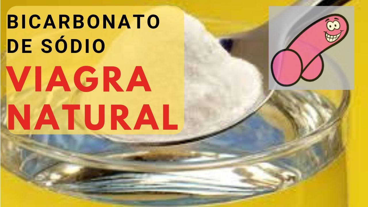 O íon Bicarbonato Pode Ser Decomposto Pela Reação