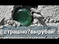 Ящерицы в Туапсе