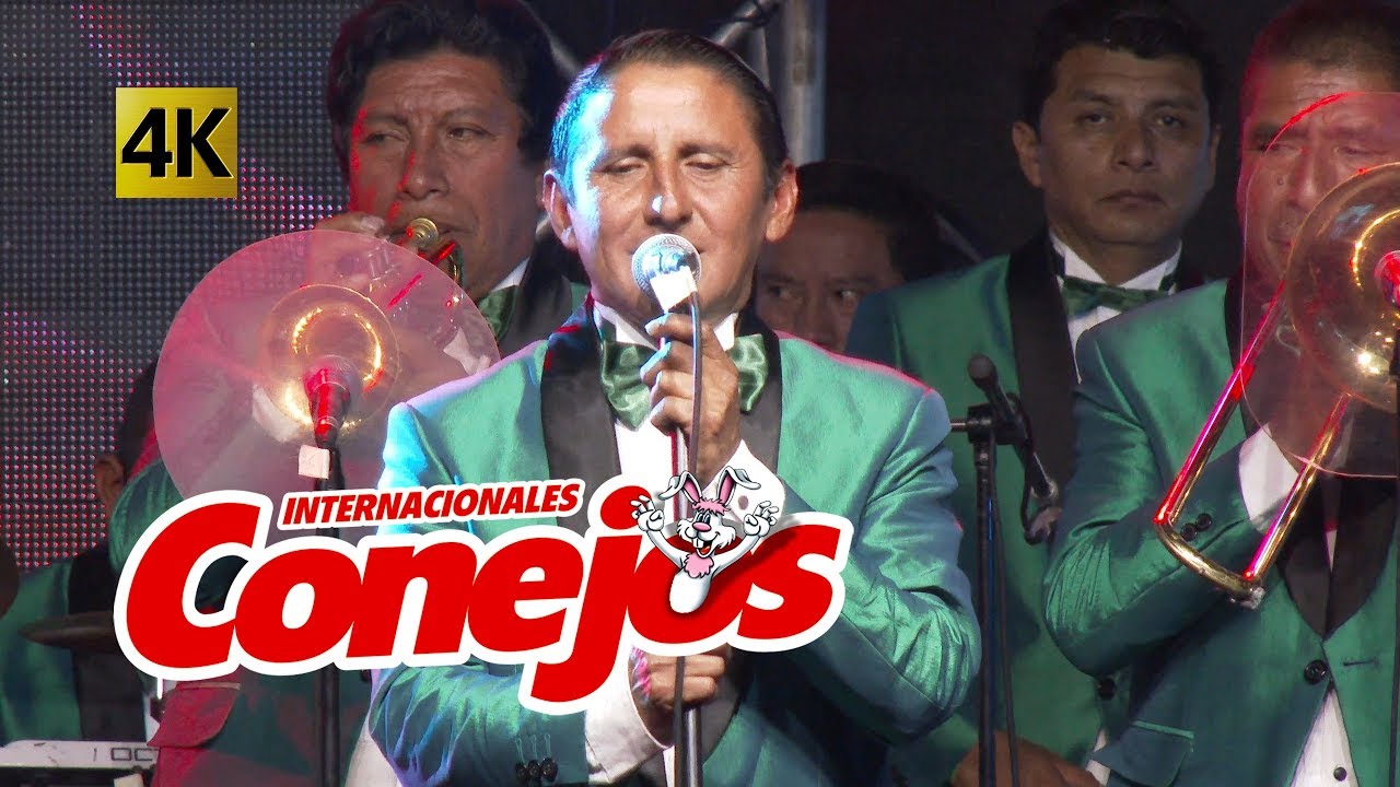 El Norti Rollo # 3 4K - Internacionales Conejos