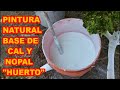 PINTURA NATURAL CON NOPAL Y CAL, PARA ÁRBOLES, VALLAS, NOPALERAS Y HASTA CASAS. ♻️♻️♻️