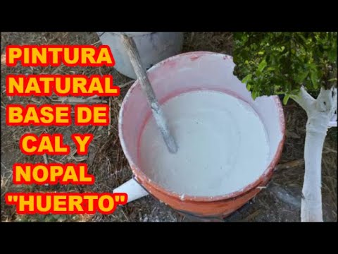 Video: Pintura de jardín para árboles: tipos y descripción