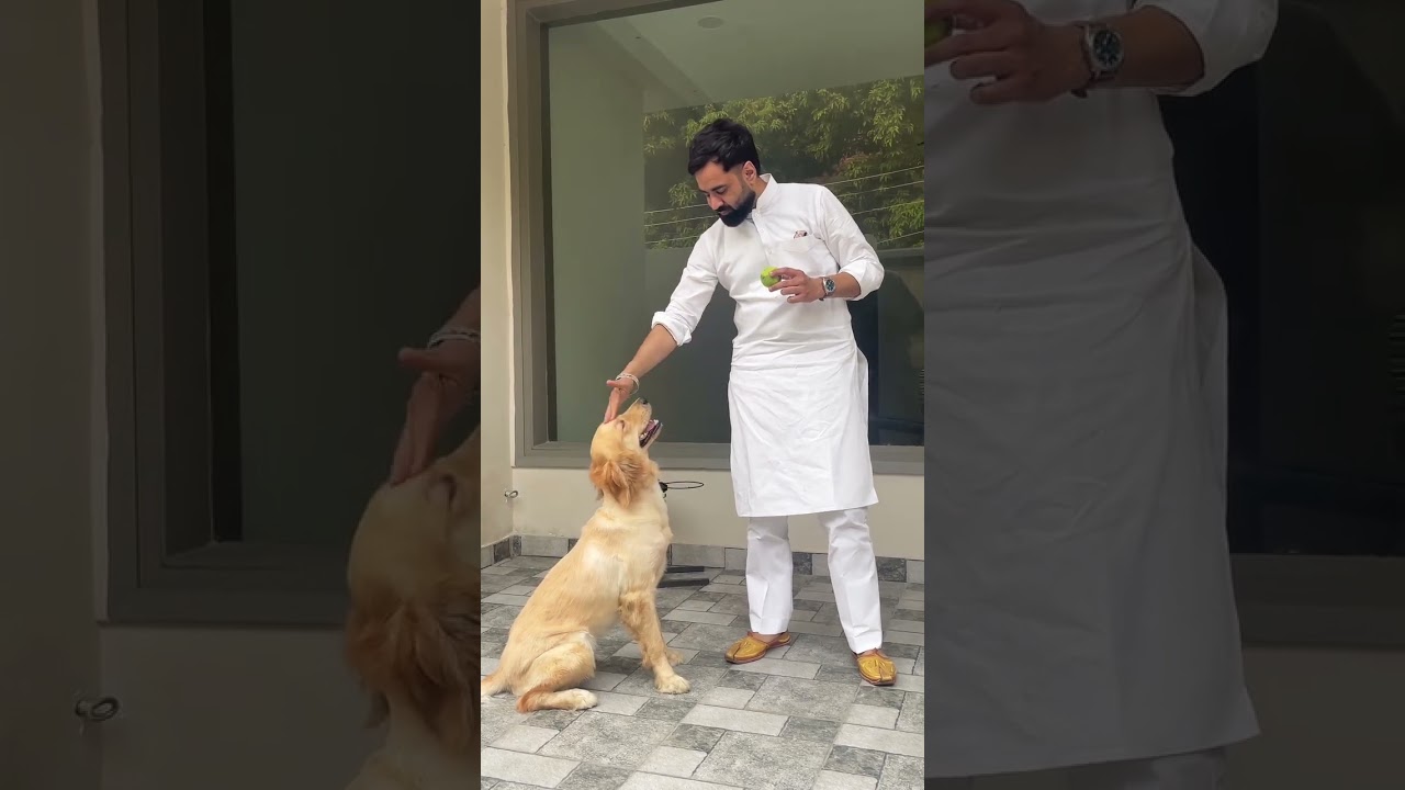 Ankhaan / Kamal Grewal #punjabisong #punjabimusic #desi #love