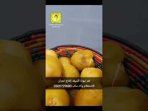 تمور نبوت السيف إنتاج نجران الموقع      5167217417768305108  