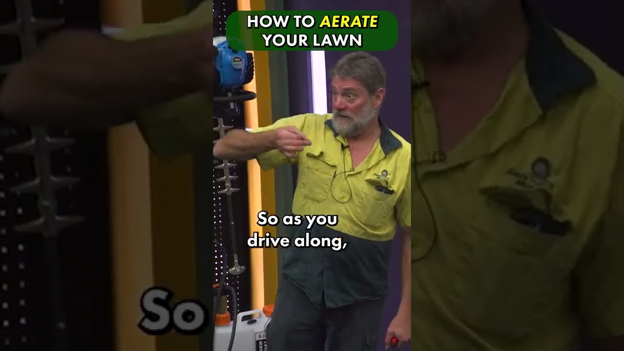 How to aerate your lawn?