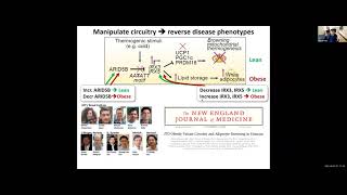 GWAS mechanism - Lecture 13 - Deep Learning in Life Sciences (Spring 2021)