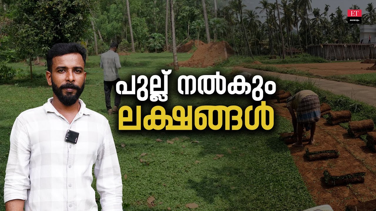 Pearl Grass Farming: കൃഷി ചെയ്യാൻ മനസ്സുണ്ടെങ്കിൽ പുല്ല് പോലും ലക്ഷങ്ങൾ നൽകും