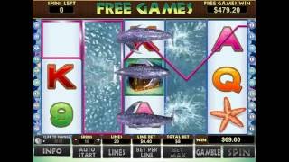 Dolphin Reef Slot - Mega Big Win screenshot 4