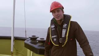 The extraordinary potential of seaweed