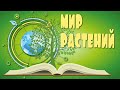 Учим растения с детьми. Энциклопедия растений. Растения для детей.