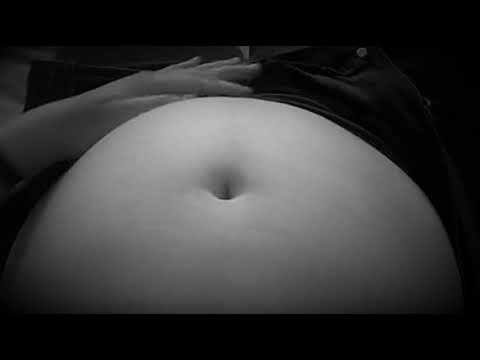 Paunchfattener 3gp mp4 mp3 flv indir