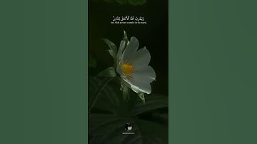 { نُّورٌ عَلَىٰ نُورٖۚ يَهۡدِي ٱللَّهُ لِنُورِهِۦ مَن يَشَآءُۚ } || بصوت القارئ شريف مصطفى