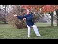 Taichi Forme 108 style Yang traditionnel, 1ère partie : La Terre